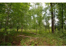 LOT13 Spruce, Spring Green, WI 53588