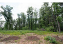 LOT13 Spruce, Spring Green, WI 53588