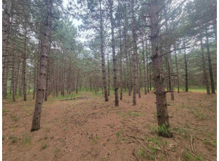 LOT 114 County Road Z Arkdale, WI 54613