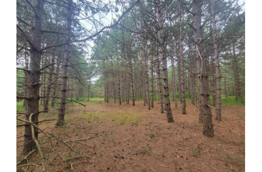 LOT 114 County Road Z, Arkdale, WI 54613