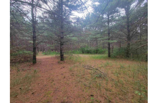 LOT 114 County Road Z, Arkdale, WI 54613