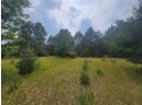 LOT 114 County Road Z, Arkdale, WI 54613
