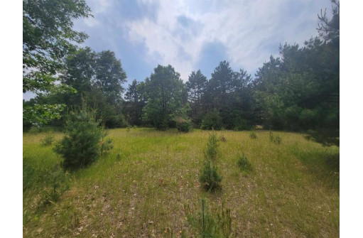 LOT 114 County Road Z, Arkdale, WI 54613