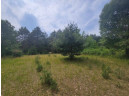 LOT 114 County Road Z, Arkdale, WI 54613