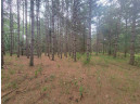 LOT 114 County Road Z, Arkdale, WI 54613