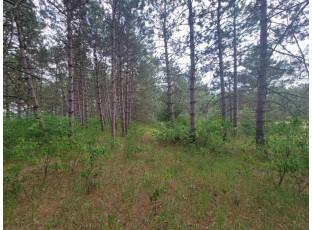 LOT 113 Beaver Lane Arkdale, WI 54613