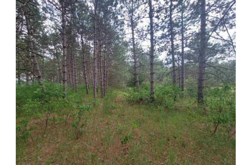 LOT 113 Beaver Lane, Arkdale, WI 54613