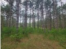 LOT 113 Beaver Lane, Arkdale, WI 54613