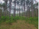 LOT 113 Beaver Lane Arkdale, WI 54613