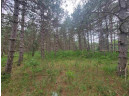 LOT 113 Beaver Lane, Arkdale, WI 54613