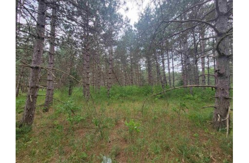 LOT 113 Beaver Lane, Arkdale, WI 54613