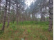 LOT 113 Beaver Lane Arkdale, WI 54613