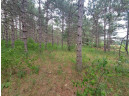 LOT 113 Beaver Lane, Arkdale, WI 54613