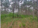 LOT 113 Beaver Lane, Arkdale, WI 54613