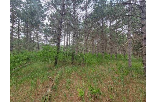 LOT 113 Beaver Lane, Arkdale, WI 54613