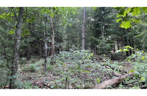 LOT 42 S Fern Lane, Oxford, WI 53952