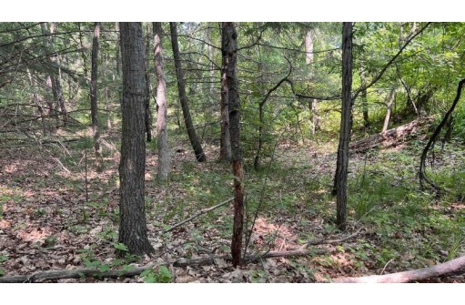 LOT 42 S Fern Lane, Oxford, WI 53952