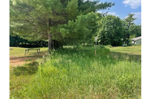 LOT 18 Canary Court, La Valle, WI 53941-0000