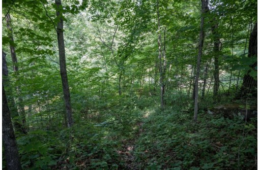 LOT 18 Canary Court, La Valle, WI 53941-0000