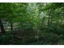 LOT 18 Canary Court, La Valle, WI 53941-0000