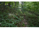 LOT 18 Canary Court, La Valle, WI 53941-0000