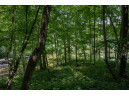 LOT 18 Canary Court, La Valle, WI 53941-0000