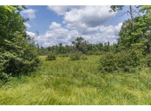 39.74AC County Road J Friendship, WI 53934