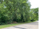 LOT 1 Ginger Street Ripon, WI 54971