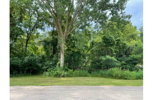 LOT 1 Ginger Street, Ripon, WI 54971