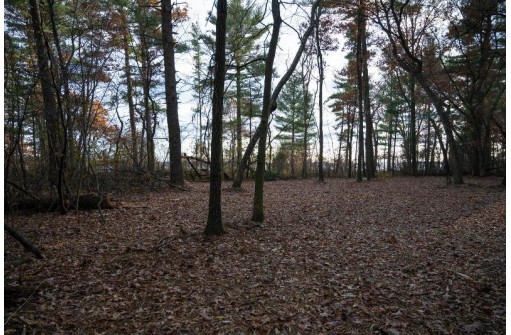 LOT 21 7th Street, Nekoosa, WI 54457