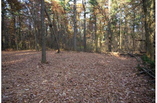 LOT 21 7th Street, Nekoosa, WI 54457