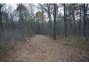 LOT 21 7th Street, Nekoosa, WI 54457