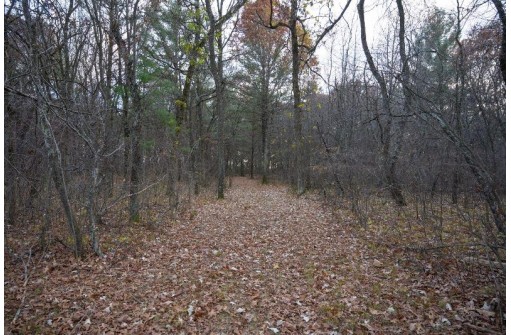 LOT 21 7th Street, Nekoosa, WI 54457