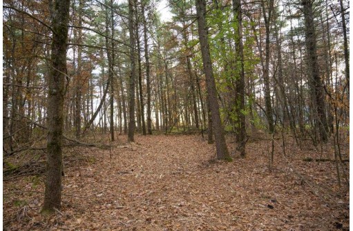 LOT 21 7th Street, Nekoosa, WI 54457