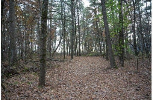 LOT 21 7th Street, Nekoosa, WI 54457