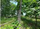 LOT 9 Blue Cedar Drive, Verona, WI 53593