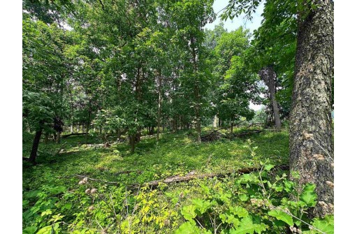 LOT 9 Blue Cedar Drive, Verona, WI 53593