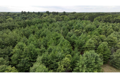 LOT 4&5 Sandy Pines Court, Redgranite, WI 54970