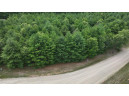 LOT 15 Sandy Pines Court, Redgranite, WI 54970