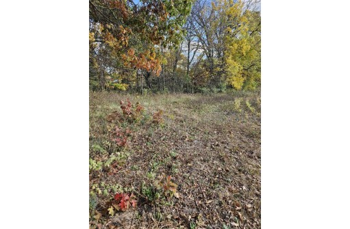 LOT 3 Junction Road, Reedsburg, WI 53959