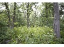 10 AC Deerborn Drive, Friendship, WI 53934