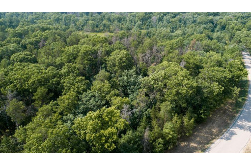 10 AC Deerborn Drive, Friendship, WI 53934