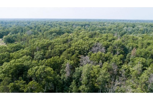 10 AC Deerborn Drive, Friendship, WI 53934