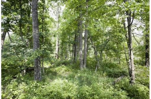 10 AC Deerborn Drive, Friendship, WI 53934