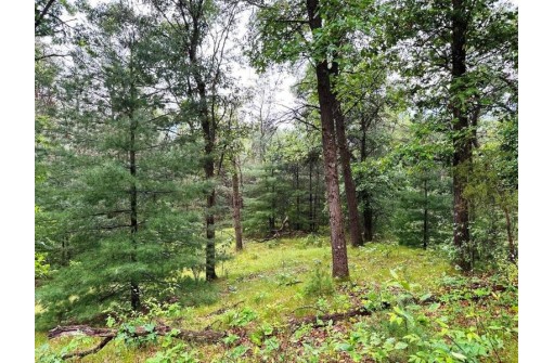 80+/- ACRES Highway 14, Spring Green, WI 53588