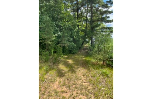 LOT 8 Timber Shores Drive, Arkdale, WI 53910