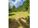 LOT 8 Timber Shores Drive, Arkdale, WI 53910