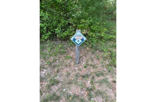 LOT 8 Timber Shores Drive, Arkdale, WI 53910