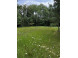 TBD County Road B Land O Lakes, WI 54540