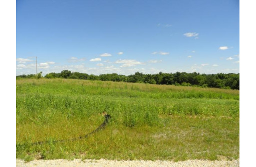 LOT 4 County Road S, Mount Horeb, WI 53572